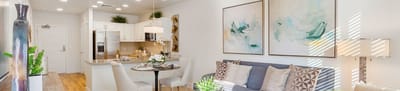 Bright, modern living room and kitchen area