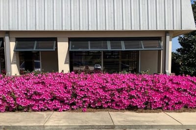 Exterior view of Roseview Nursing Center with blooming flowers