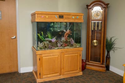 Aquarium in a common area of the facility