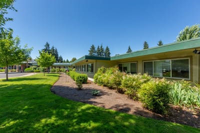 Beautiful outdoor landscaping with green grass and trees