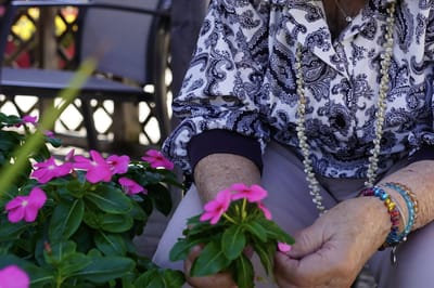 Resident tending to flowers in a garden area