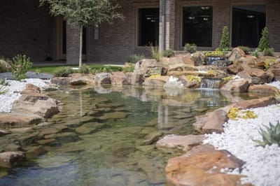 Tranquil outdoor pond and garden area