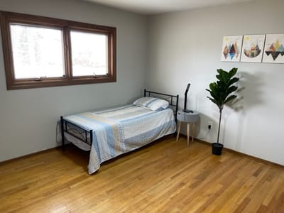 Cozy bedroom with a bed, plant, and artwork.