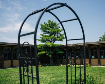 A garden area with a tree and an archway