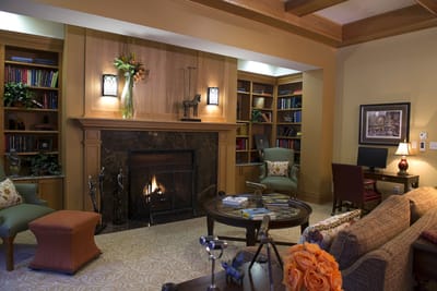 Cozy common area with a fireplace and bookshelves