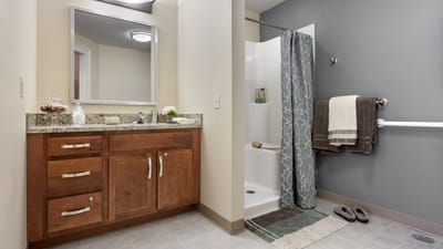 Modern bathroom with a walk-in shower and vanity