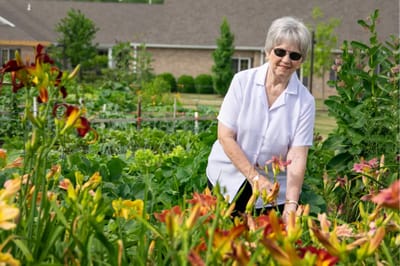 A resident tending to a garden full of flowers