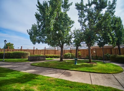 Well-maintained garden area with trees and pathways