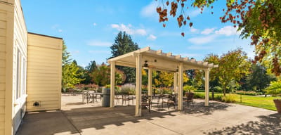 Outdoor seating area in a landscaped garden