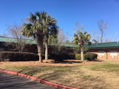 Exterior view of the facility with palm trees