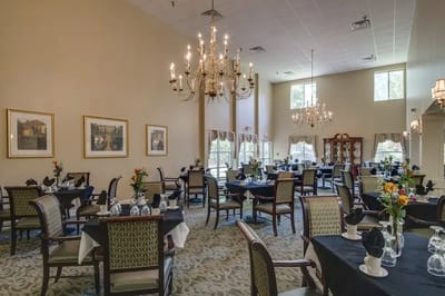 Elegant dining room set for a meal service