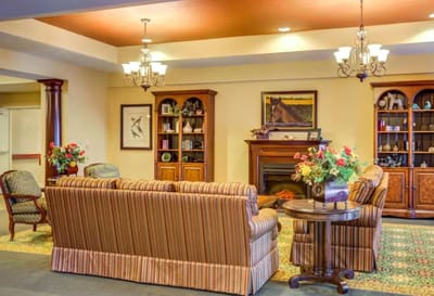 Comfortable lounge area with sofas and bookshelves