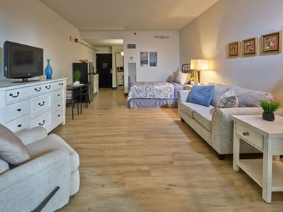 Interior view of a well-furnished living space