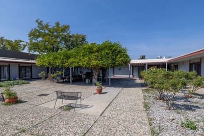 Outdoor courtyard with seating and greenery