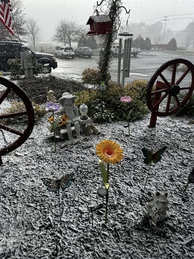 Flower garden with decorative items in snowfall