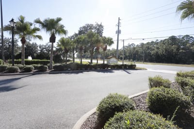 Entrance area with greenery and signage for The Windsor