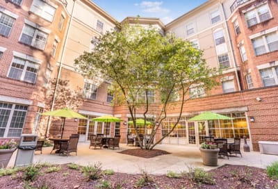 Outdoor courtyard with seating and a large tree
