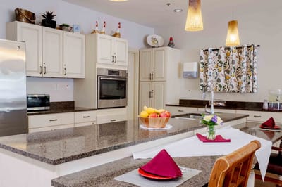 Bright kitchen area with a large countertop and fruit bowl