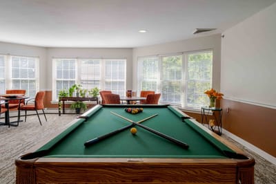 Interior view of a lounge area with a pool table