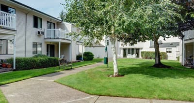 Landscaped outdoor space with walkways and building access