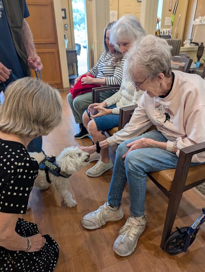 Residents engaging with a therapy dog in a cozy common area