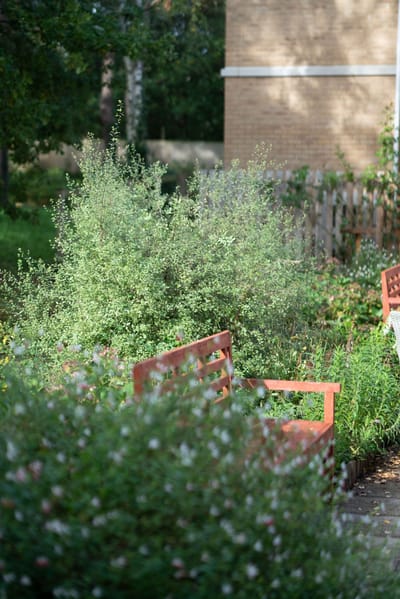 Serene garden seating in a senior living facility