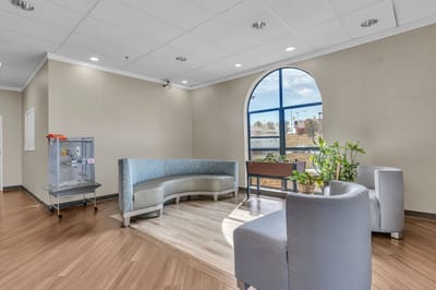 Bright and modern common area with seating