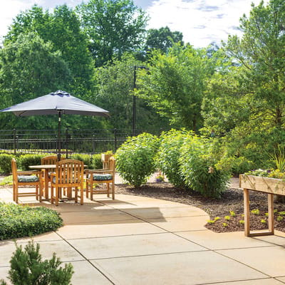 Seating area in a landscaped garden