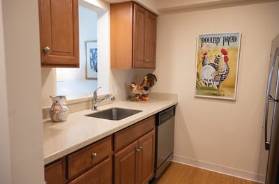 Bright kitchen area with rooster decor and sink