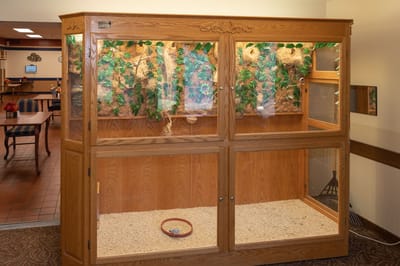 A wooden display case with decorative plants inside