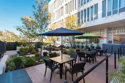 Outdoor seating area with umbrellas and greenery