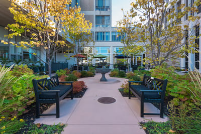 Outdoor garden area with benches and trees