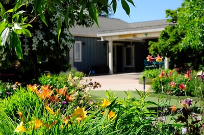 Beautiful garden area with colorful flowers