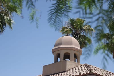 Exterior view of building dome with palm tree