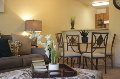 Cozy living room area with plants and furniture