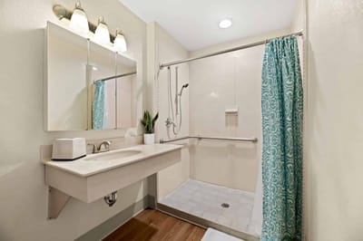 Accessible bathroom design with shower and vanity