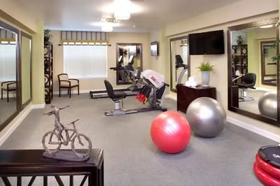 Well-equipped fitness room with exercise equipment and exercise balls