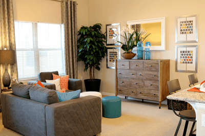 Cozy living room with modern decor and plants