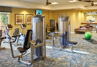 Interior view of a fitness center with exercise equipment