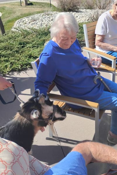 Resident interacting with a goat outdoors