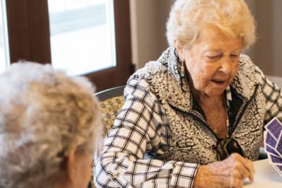 Two senior residents engaged in an activity.