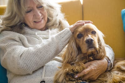 A resident softly pets a dog on a sofa