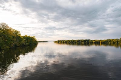 Scenic view of a river surrounded by trees