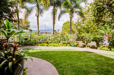 Beautiful outdoor garden area with lush greenery