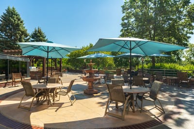 Outdoor seating area with umbrellas and fountain
