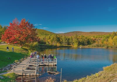 Residents enjoying a scenic lakeside view in autumn.