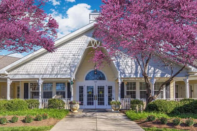 Exterior view of a facility with blooming trees