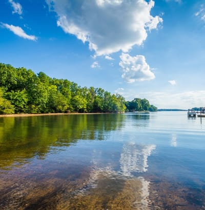 Serene lake view with trees and reflections.