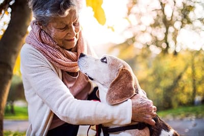 Senior woman interacting with a dog outdoors