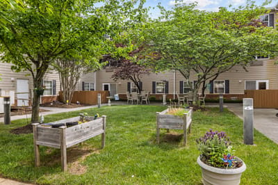 Outdoor garden area with seating and plants